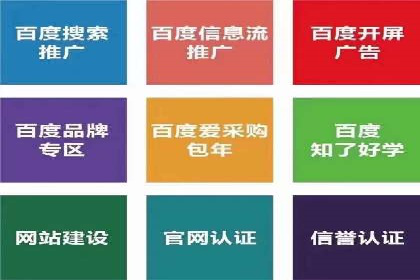 SEM推广公司成功案例：助力企业实现品牌多元化发展